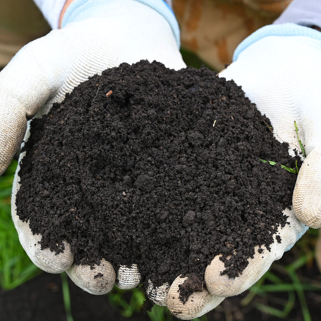 両手で土を持っている画像